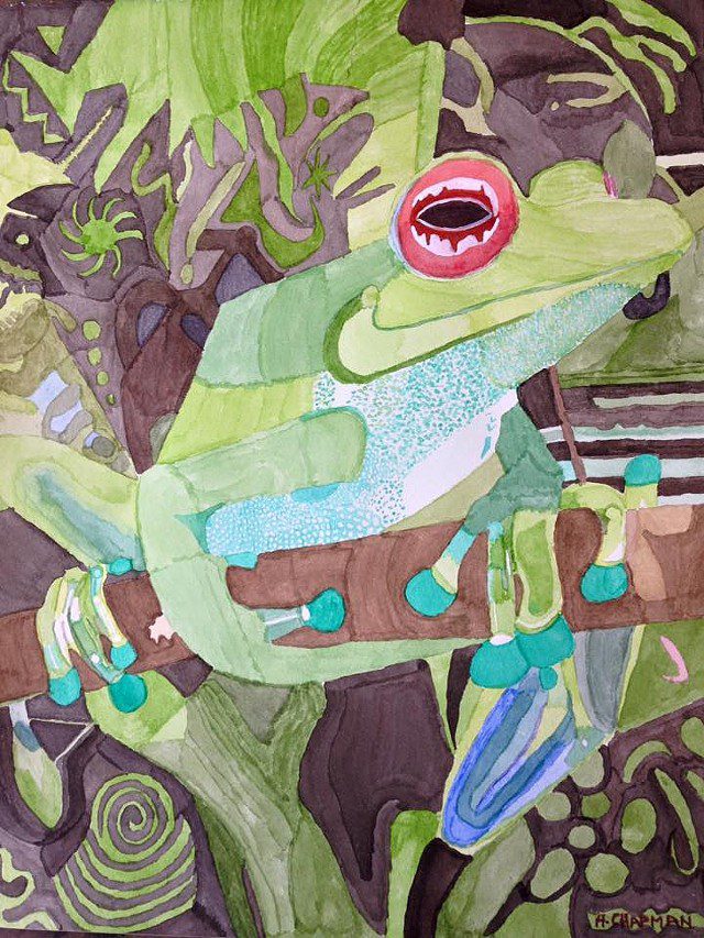 Henry Chapman Grinning Frog