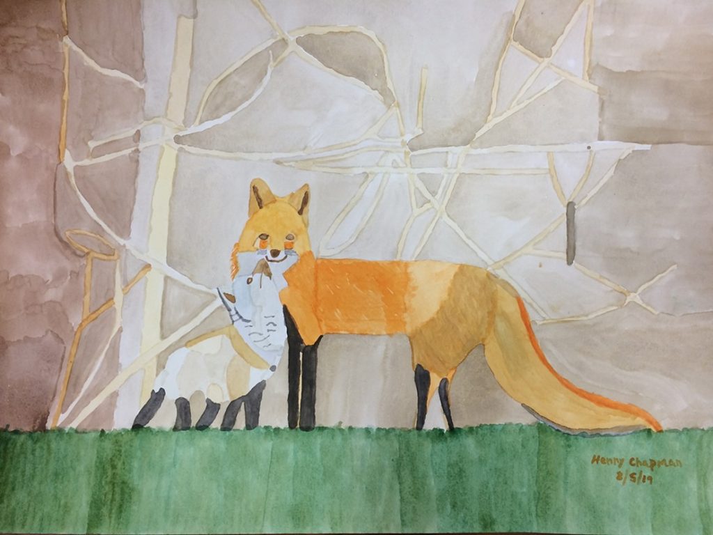 Red Fox and Child