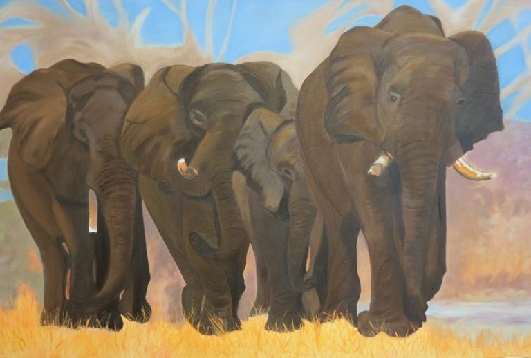 Theresa Cappetta Gli Elefanti